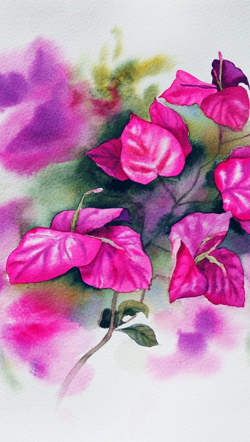 Bougainvillea flower by Delnara El