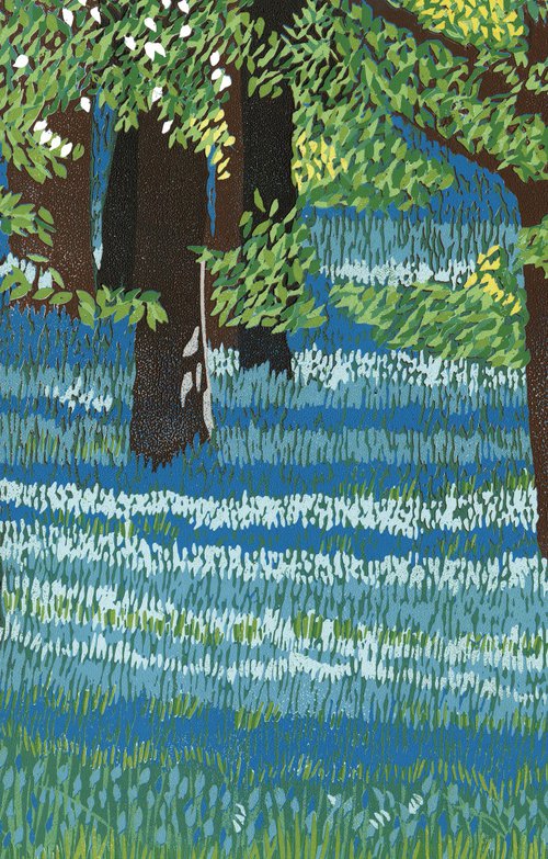 Bluebell Woods by Joanne Spencer