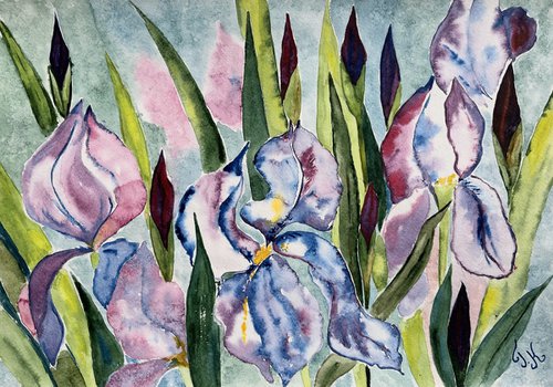 Irises Original Watercolor Art by Halyna Kirichenko