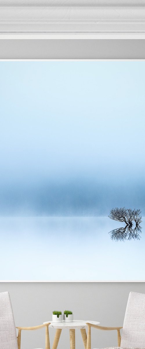 Lost in the Mist by Lynne Douglas