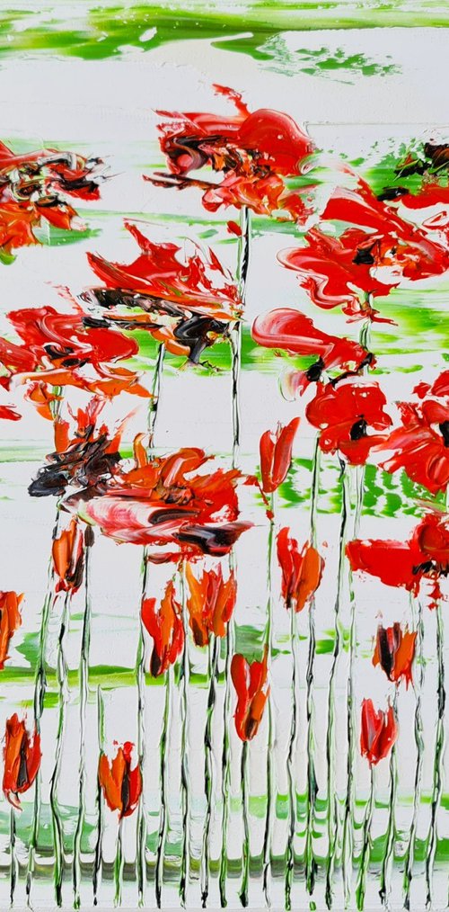 Flora Poppies 5 by Daniel Urbaník