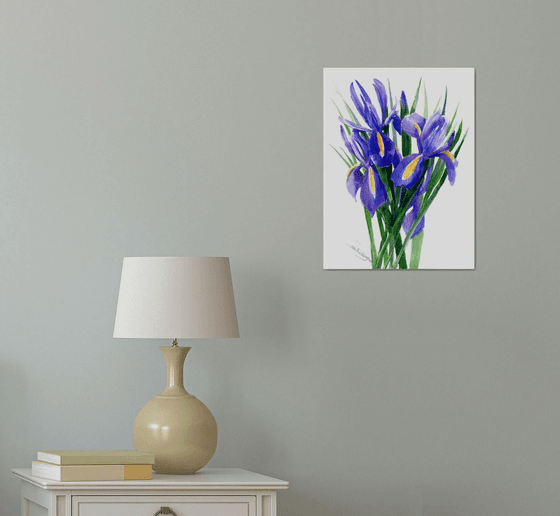 Blue Iris Flowers