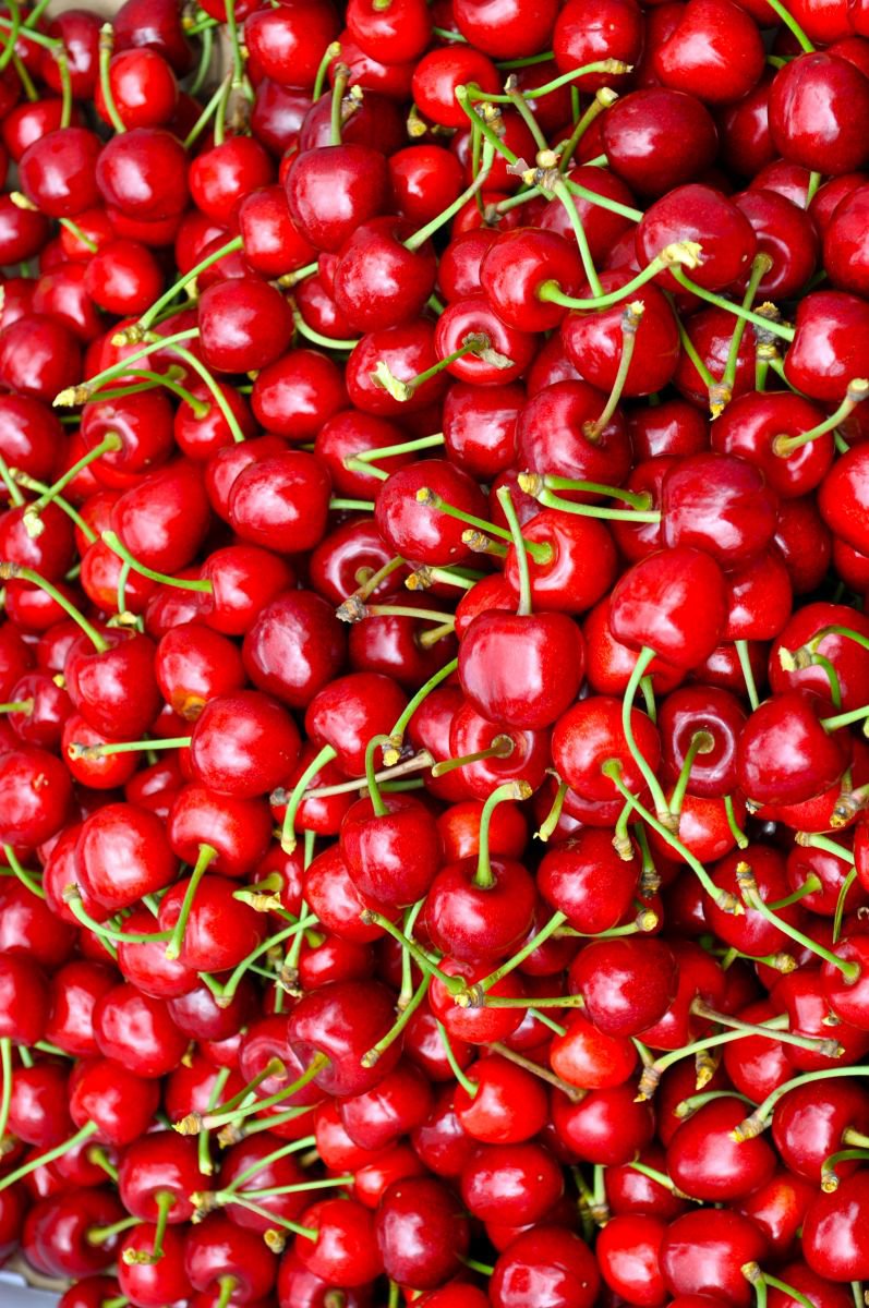 Photorealistic Botanical Photograph By Marc Ehrenbold, 30 X 40", Red Cherry, Original Artwork