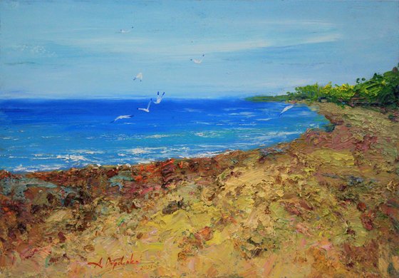 Where the Wind Meets the Sea