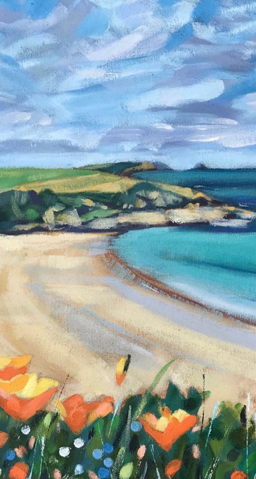 Overlooking Porthcurnick  Beach by Emma Dashwood
