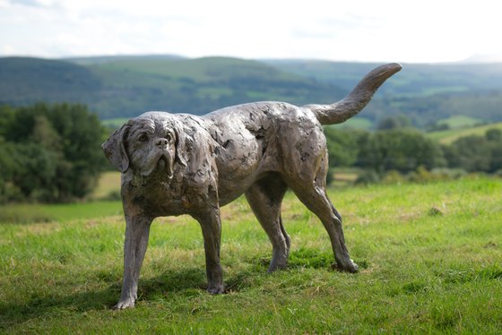 St Bernard Bronze Resin Sc