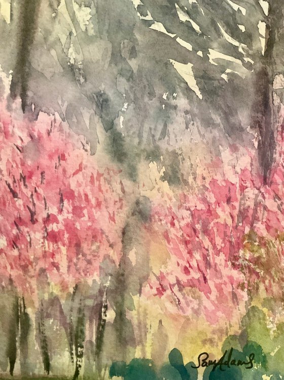 Blossoms and Winter trees