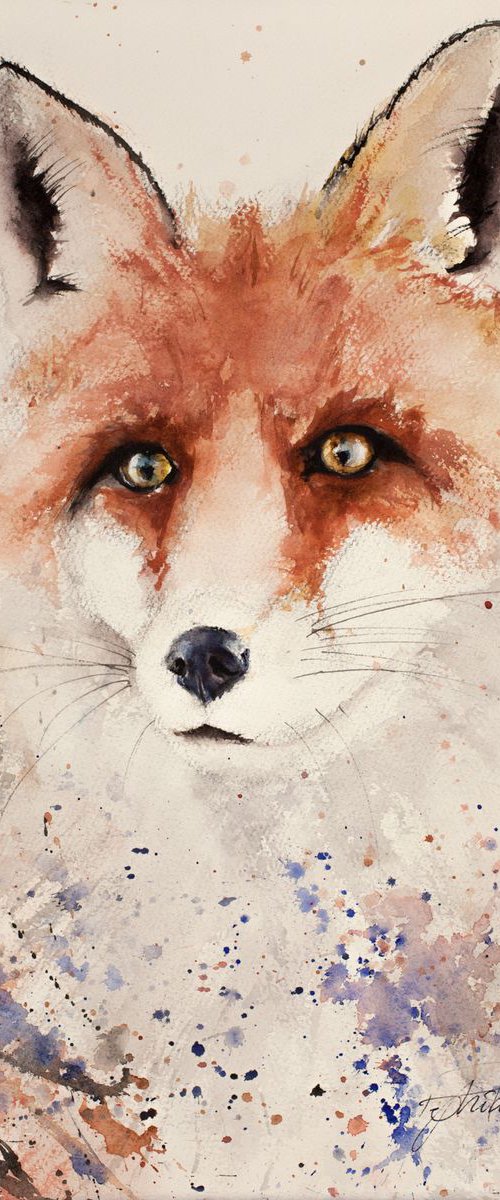 Fox by Tomasz Mikutel