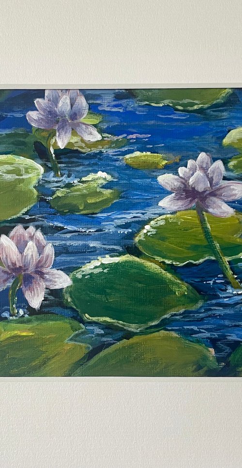 Lilac water lilies by Emma Sian Pritchard