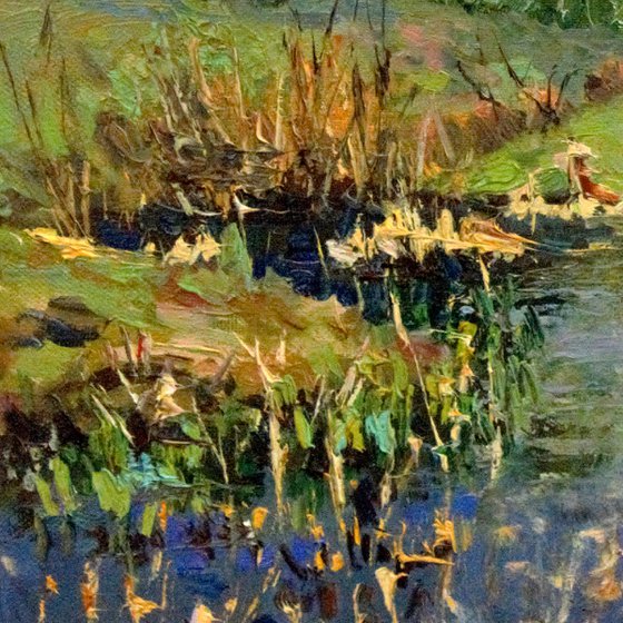 Overgrown pond. Original realistic painting