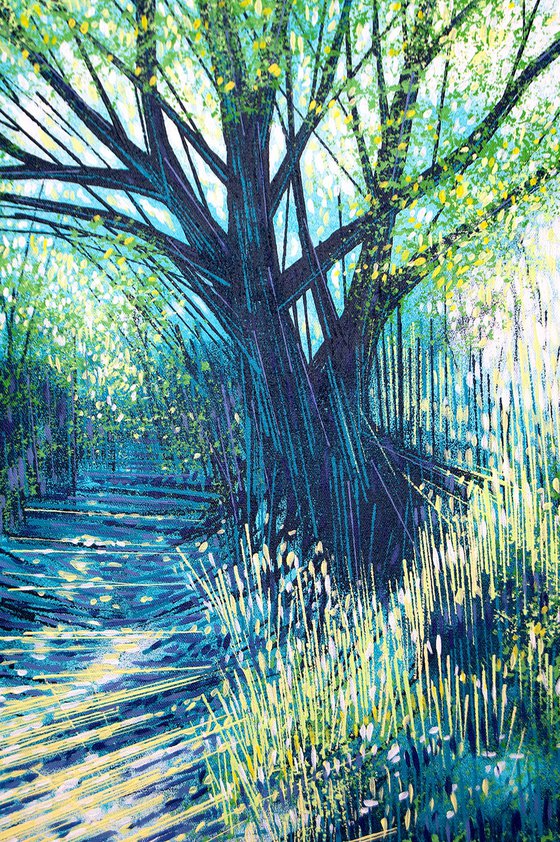 Light Through Summer Trees