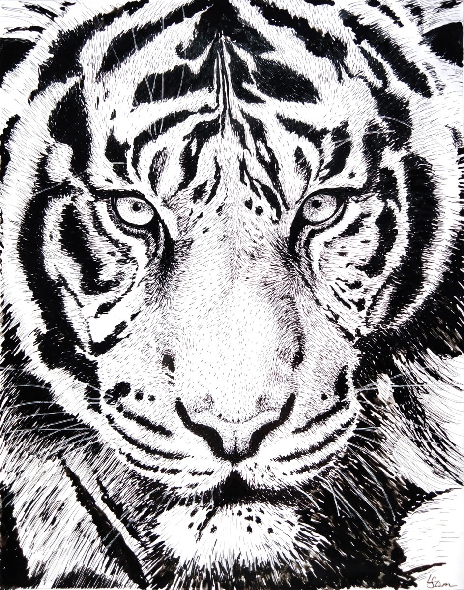 The piercing gaze of a tiger by Liubov Samoilova