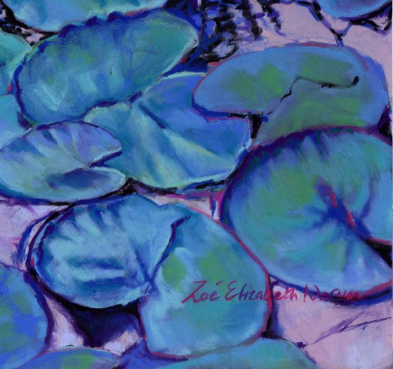 Summer Water Lilies