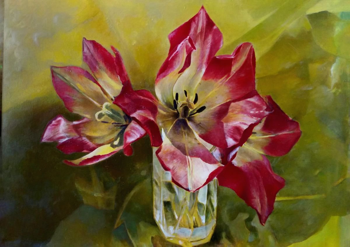 Tulip Blossoms by Rimas Nakrasas