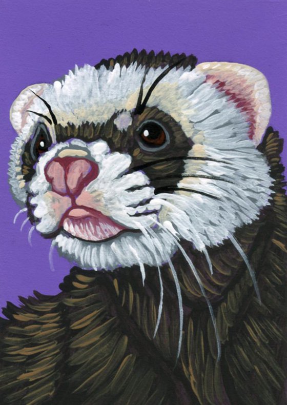 ACEO ATC Original Miniature Painting Ferret Pet Art-Carla Smale