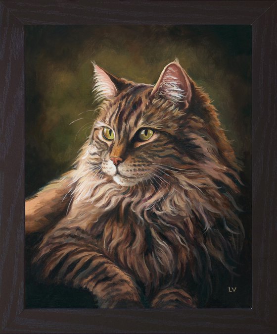 Majestic Maine Coon cat with green eyes