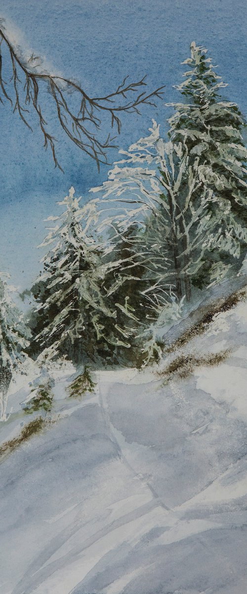 Slovenian Winter by Aneta Gajos