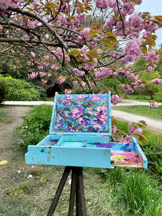 "Sakura"