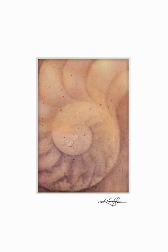 Nautilus Shell Collection 6 - 3 Small Matted paintings by Kathy Morton Stanion