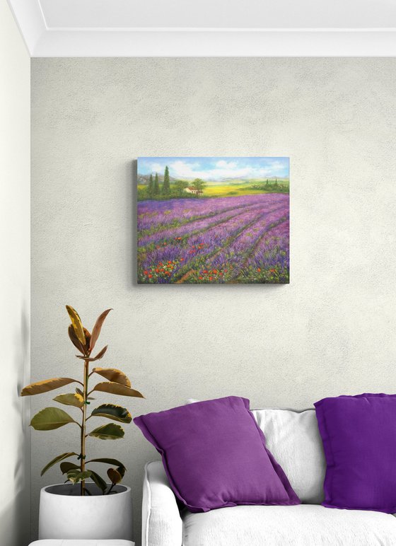 Lavender field  Provence