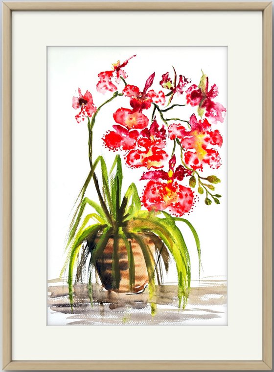 Red Orchid in a pot Still life