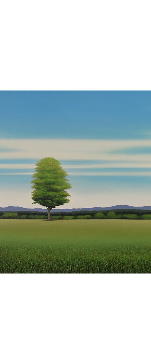 Countryside Trees - Blue Sky by Suzanne Vaughan