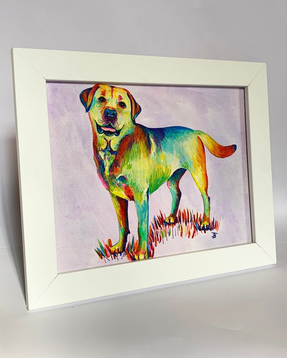 Rainbow Labrador