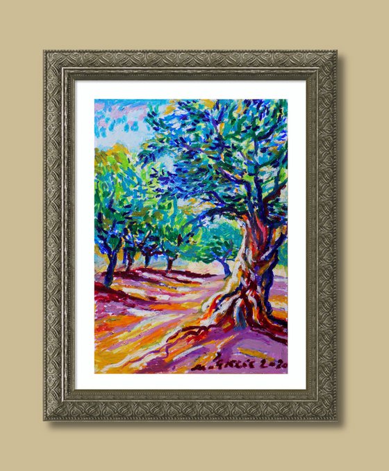 Olive grove No 23