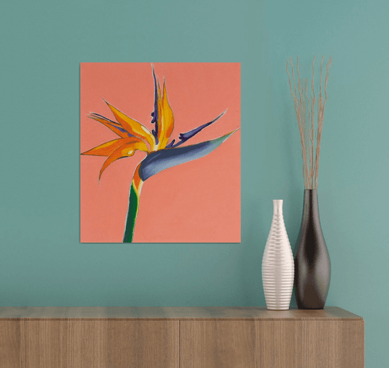 Bird of Paradise