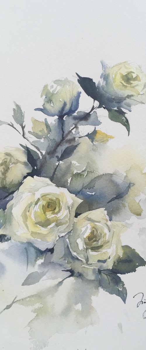 White roses by Jing Chen