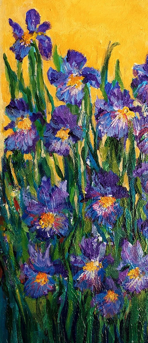 Garden Irises