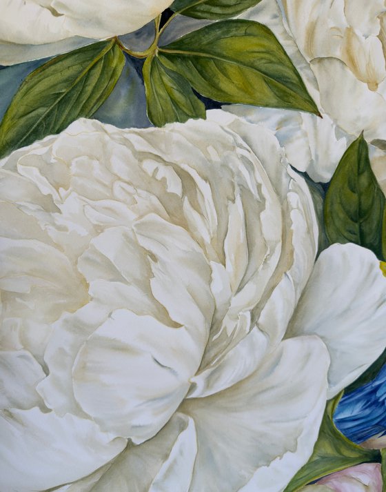 Among White Peonies