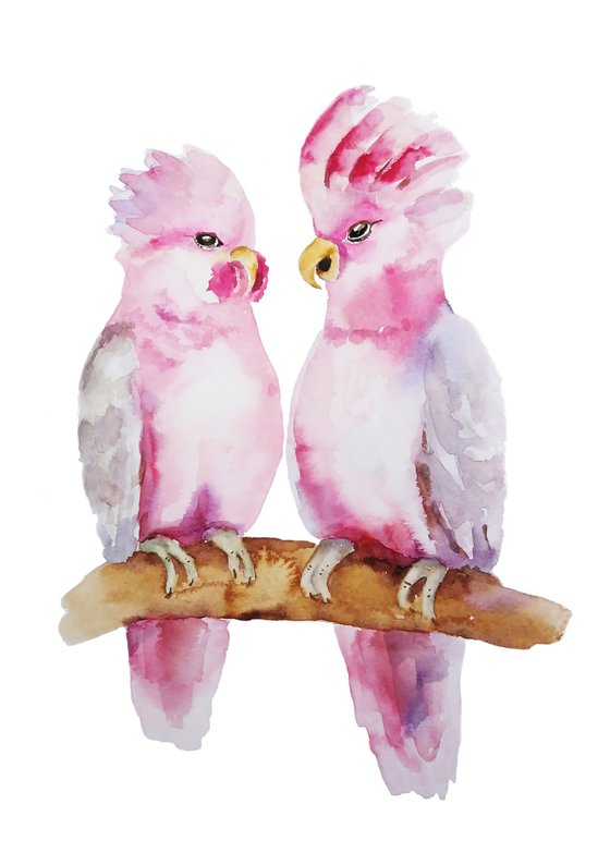 Pink parrots cockatoo bird artwork, watercolor illustration