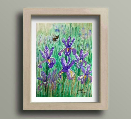 Bee visiting Irises