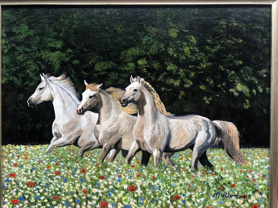 WHITE HORSES IN MEADOW