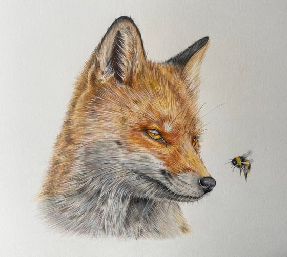 The fox and the bee