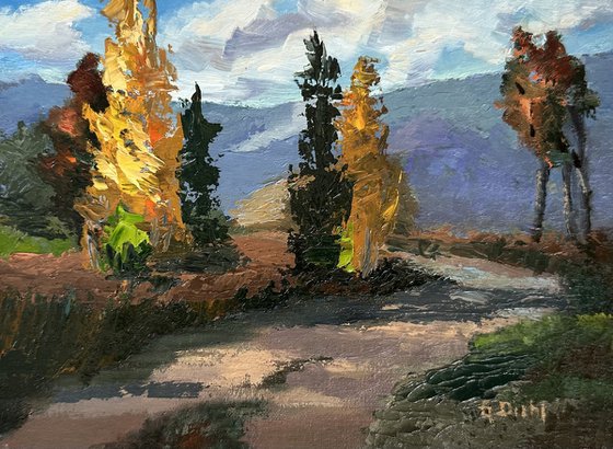 Cypress Tree