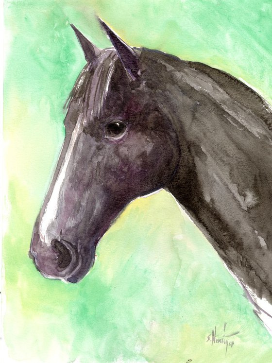 Black Horse