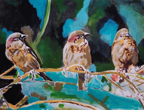 Sparrows / 50 x 38.5 cm by Alexandra Djokic