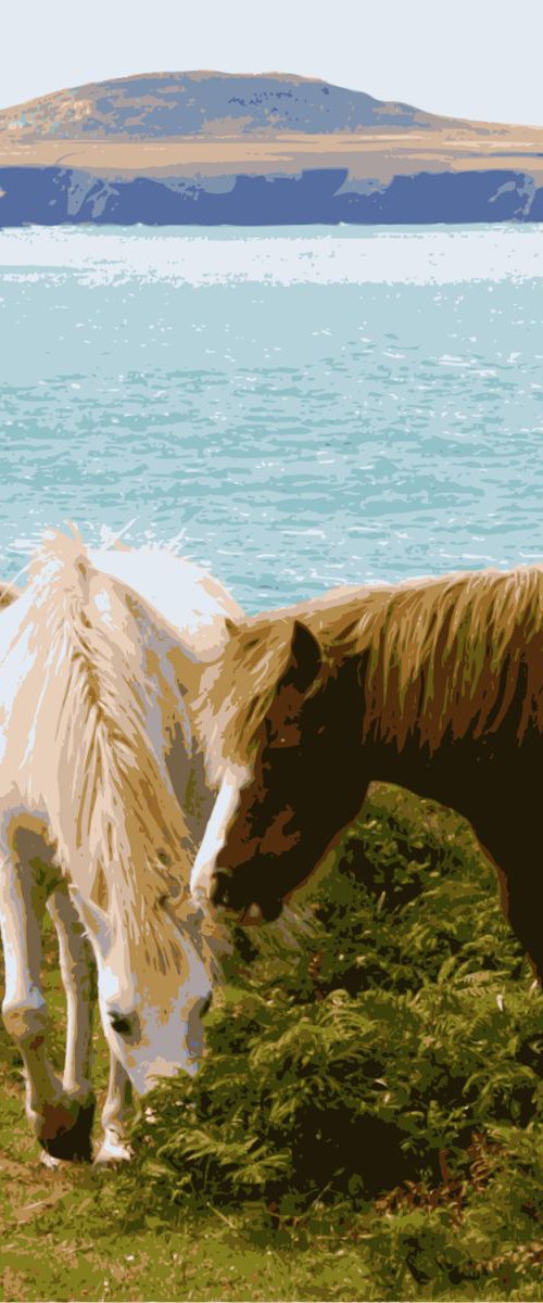 Coastal Ponies #1 by Keith Dodd