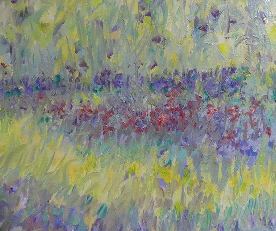 Lavender Meadow