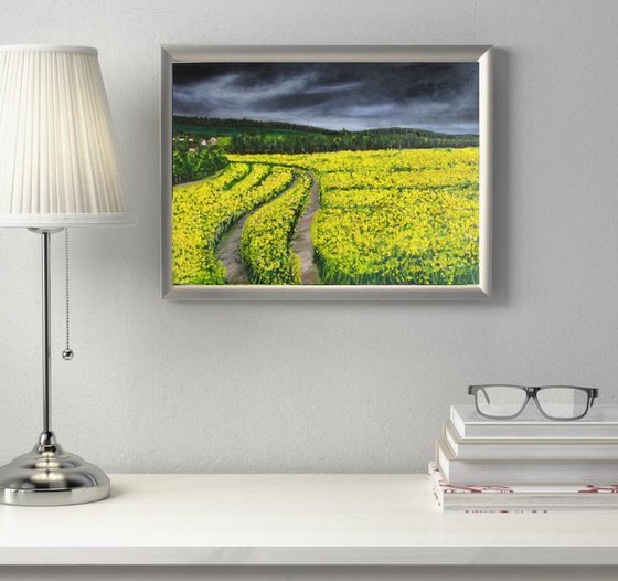 Rapeseed fields