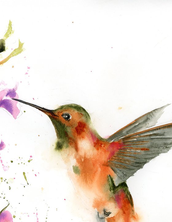 Hummingbird