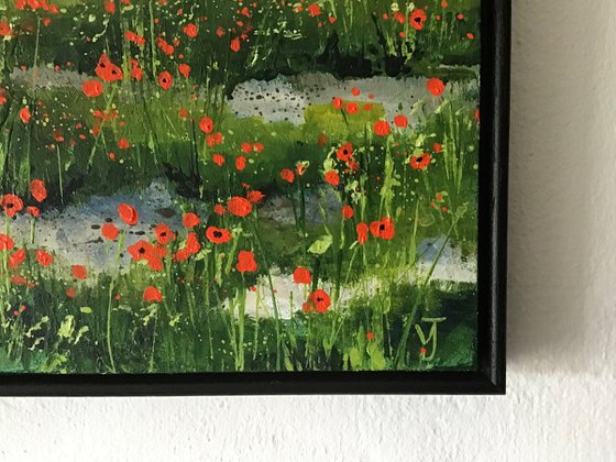Poppy Field