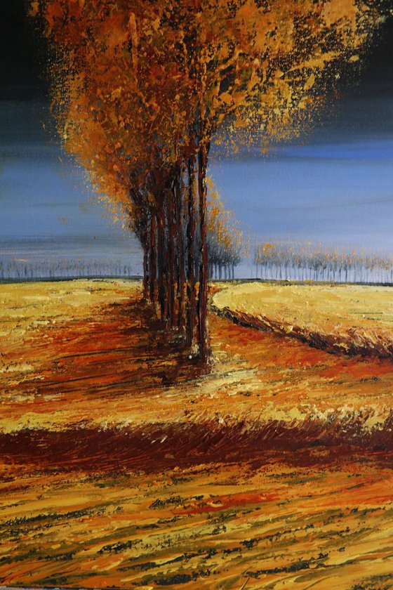 The Lines of Autumn  II - Fields and Colors Series