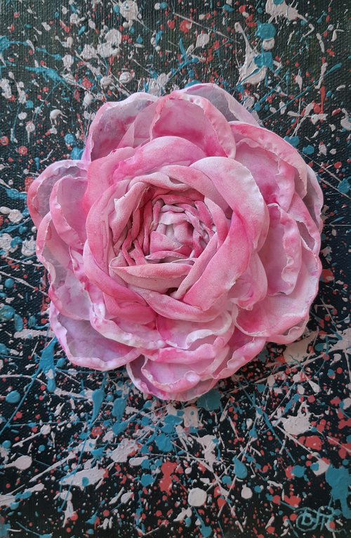 Garden rose by Dmitrij Tikhov