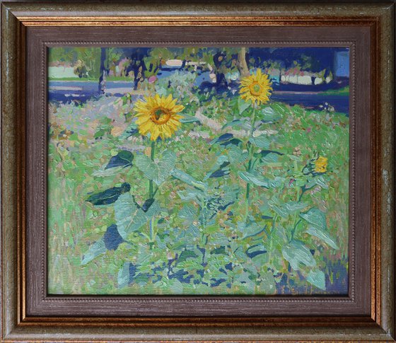 Sunflowers in Maryino