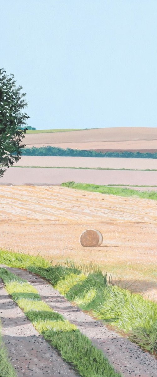 Field Track, Summer by Christopher Witchall