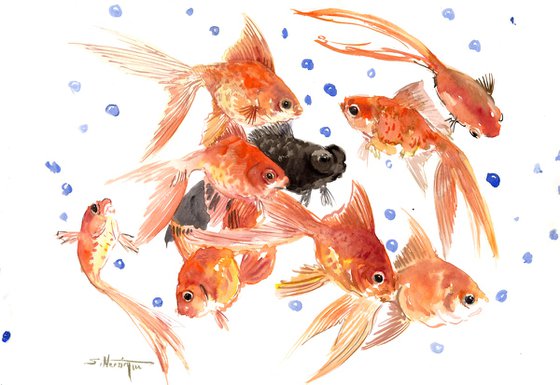 Feng Shui Goldfish