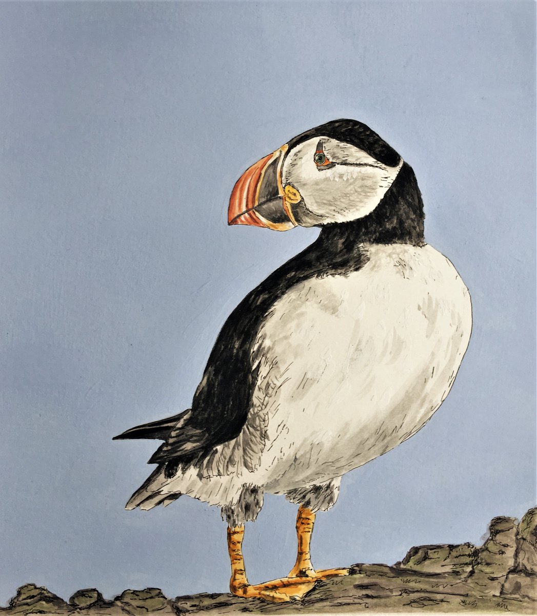 Puffin #2 by Laurence Wheeler
